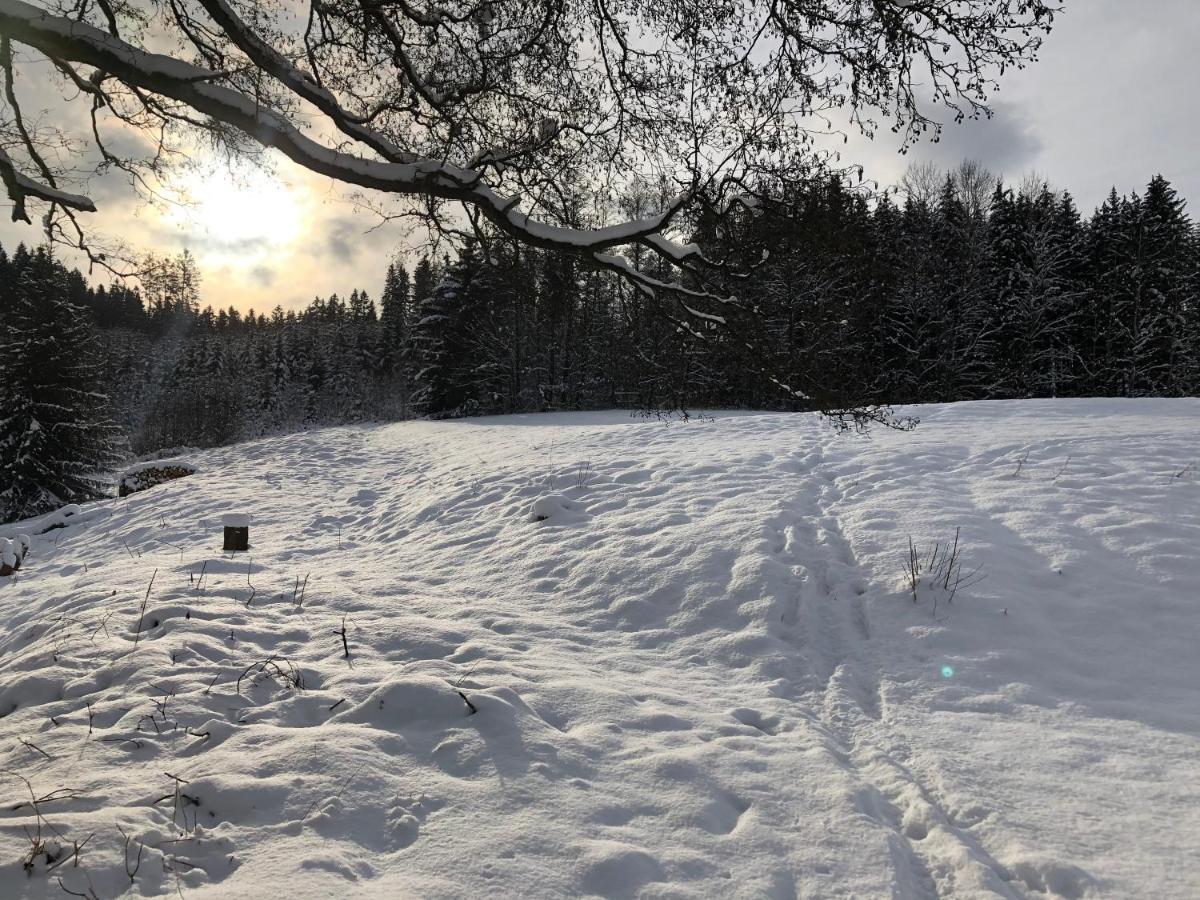 Ubytovani Chotevice Hostinné Buitenkant foto